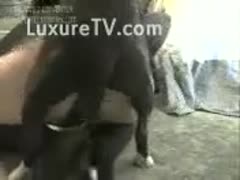 Recently recorded beastiality sex movie scene featuring a obscene older slut and a K9 